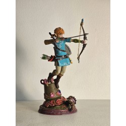 Link Breath Of The Wild...