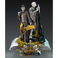 Harry Potter et Voldemort...