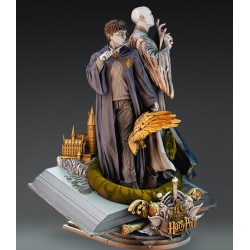 Harry Potter et Voldemort Fan Art